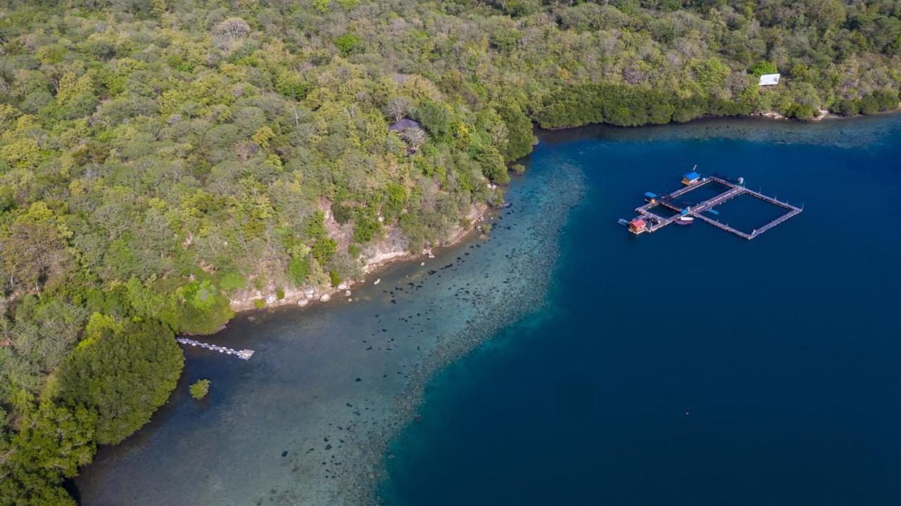 Menjangan Ecolodge - Chse Certified Banyuwedang Luaran gambar