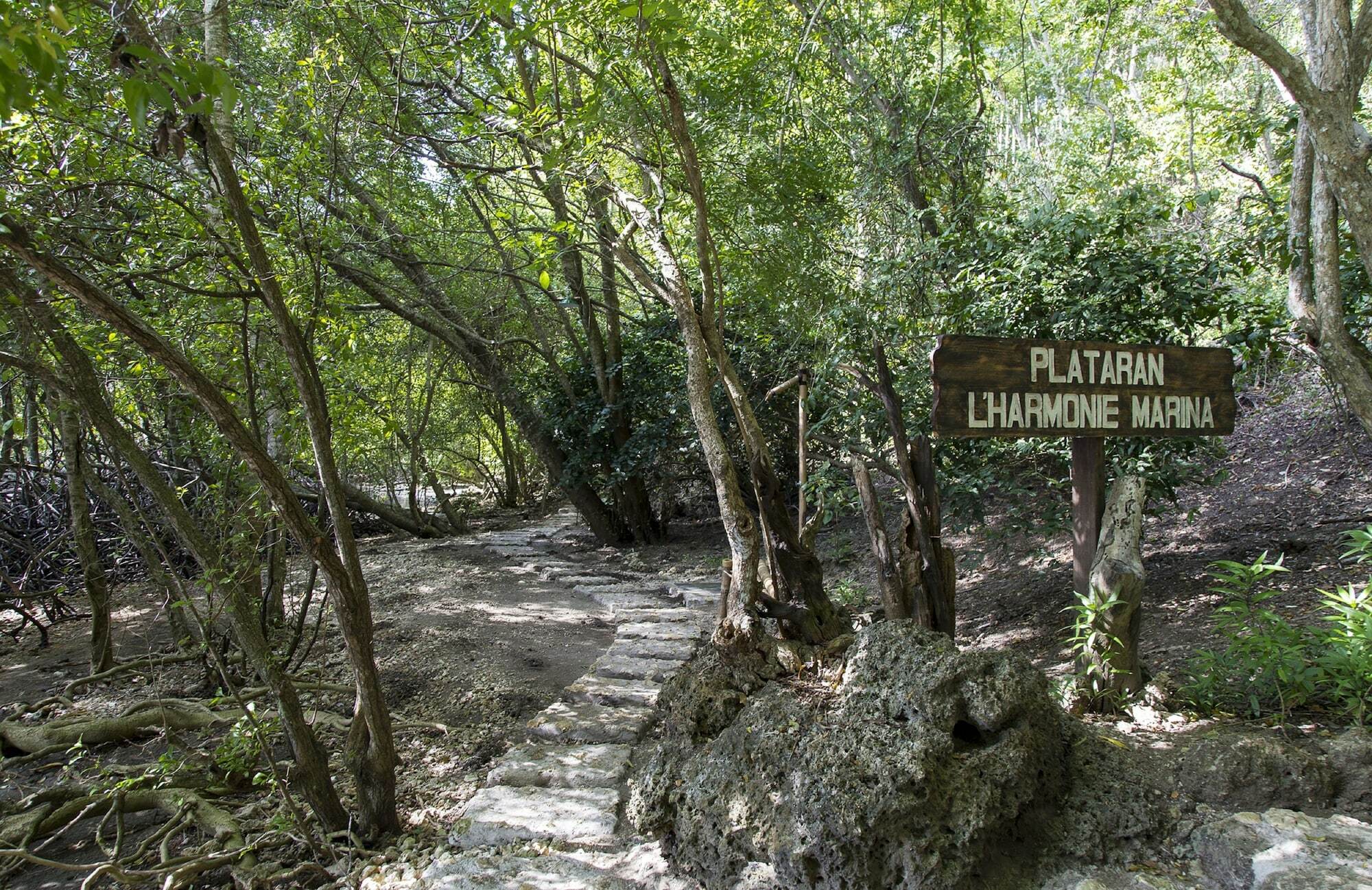 Menjangan Ecolodge - Chse Certified Banyuwedang Luaran gambar