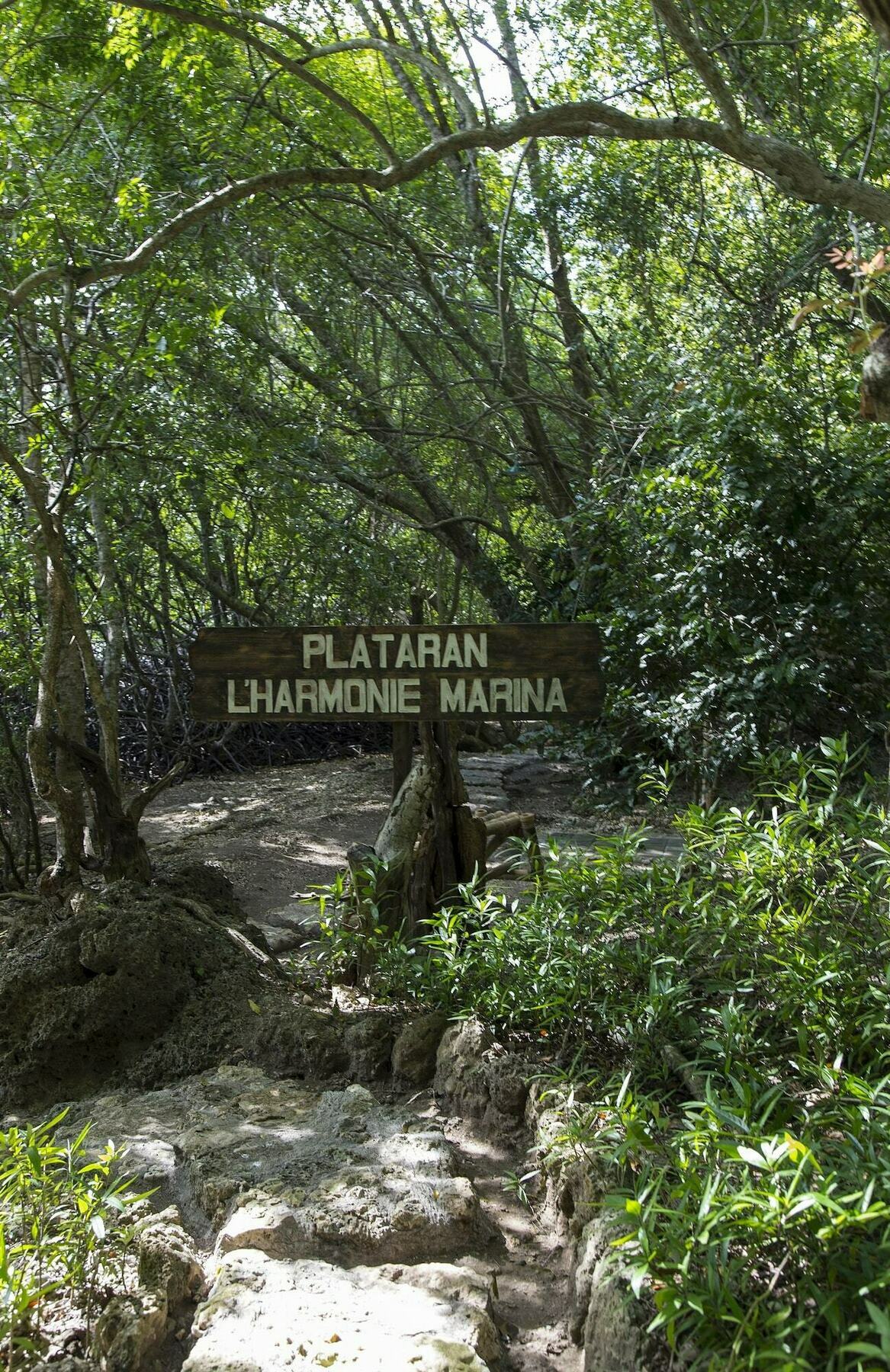 Menjangan Ecolodge - Chse Certified Banyuwedang Luaran gambar